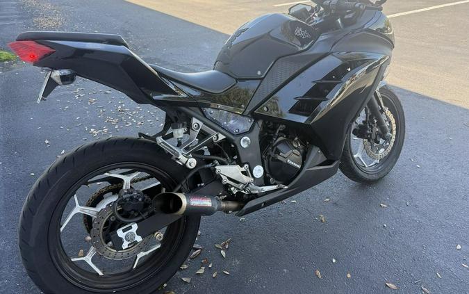 2014 Kawasaki Ninja® 300