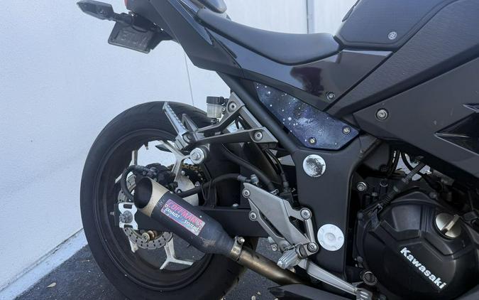 2014 Kawasaki Ninja® 300