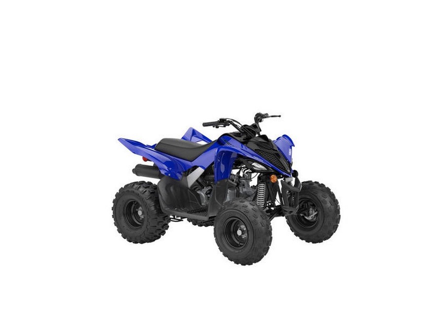 2025 YAMAHA RAPTOR 110