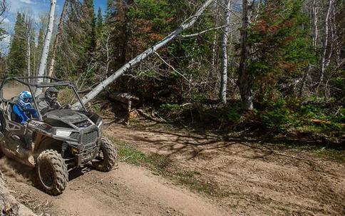 2019 Polaris RZR 900 EPS