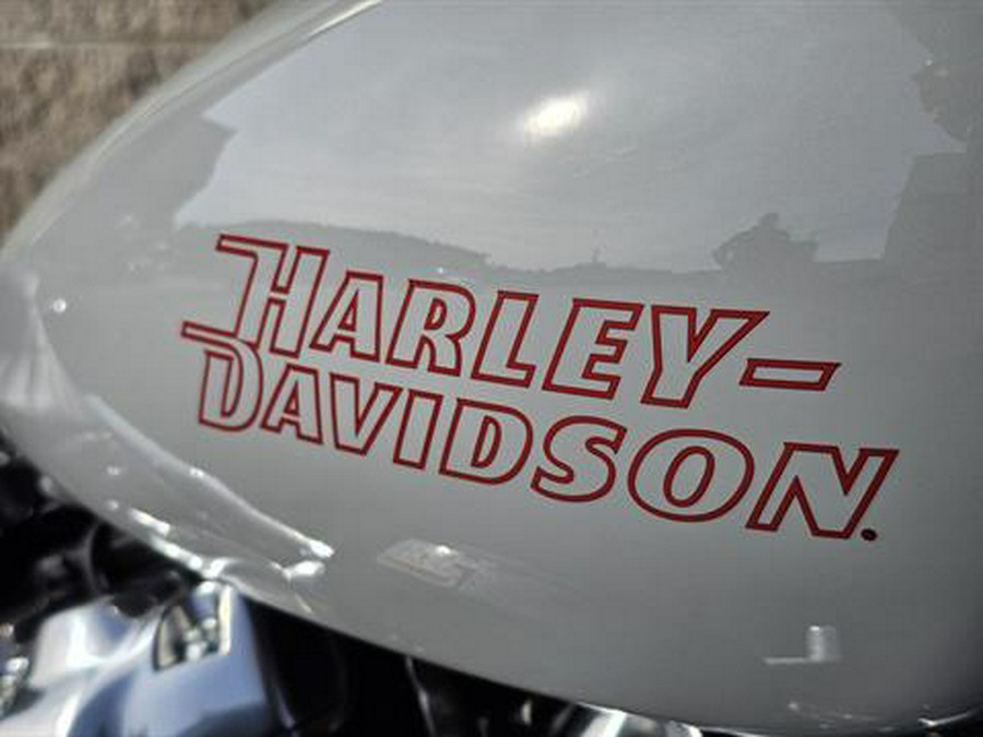 2024 Harley-Davidson Softail® Standard