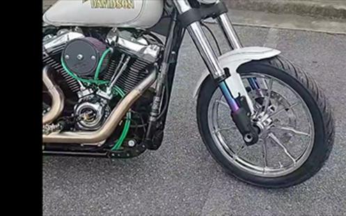 2018 Harley-Davidson Low Rider® 107