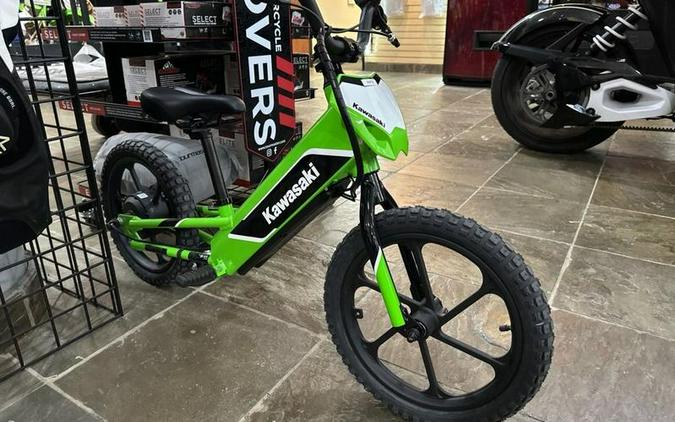 2023 Kawasaki Elektrode™