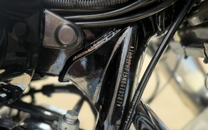 2022 Police Road King Vivid Black / Birch White / Silver pinstripe