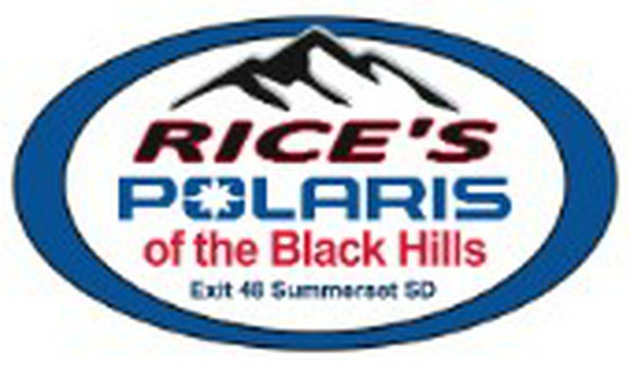 2025 Polaris RZR 200 EFI