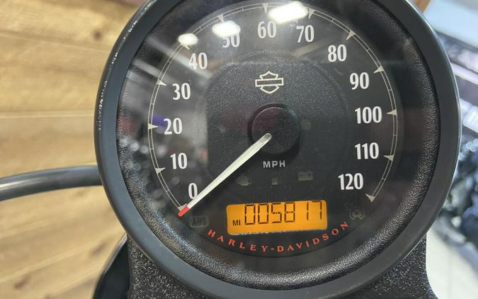 2020 Harley-Davidson® Iron 1200™ Barracuda Silver XL1200NS