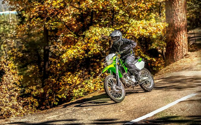 2022 Kawasaki KLX 300