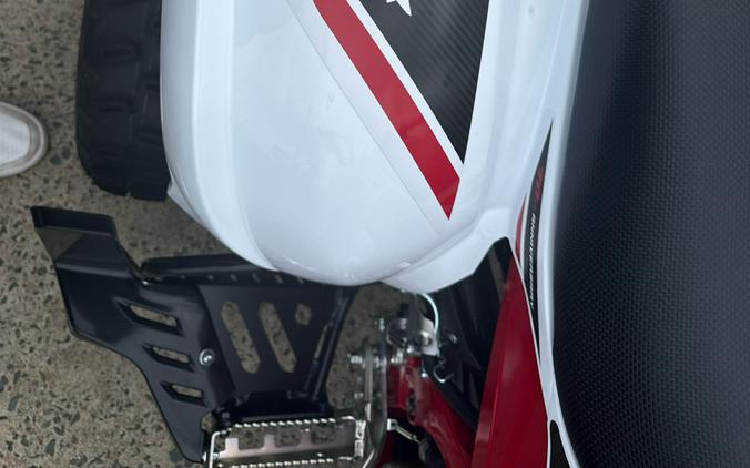 2026 Yamaha Raptor 700R SE