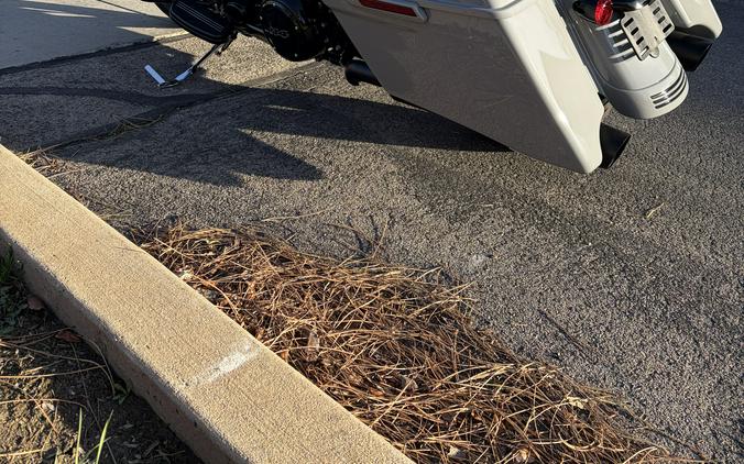 2025 Harley-Davidson Road King® Special