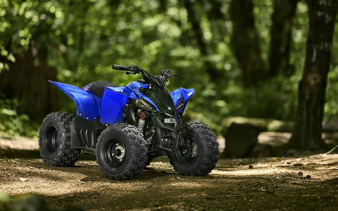 2025 Yamaha YFZ 50