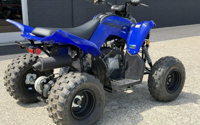 2026 Yamaha Raptor 110