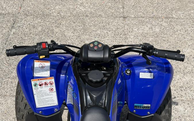 2026 Yamaha Raptor 110