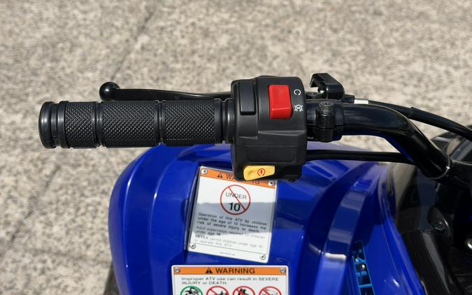 2026 Yamaha Raptor 110