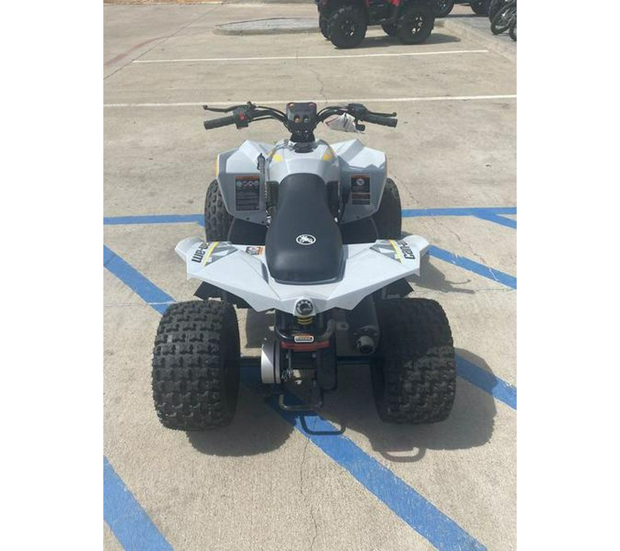 2024 Can-Am® Renegade 110 EFI