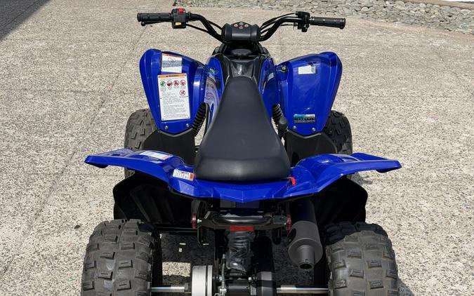 2026 Yamaha Raptor 110