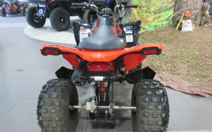 2027 CAN-AM DS 250