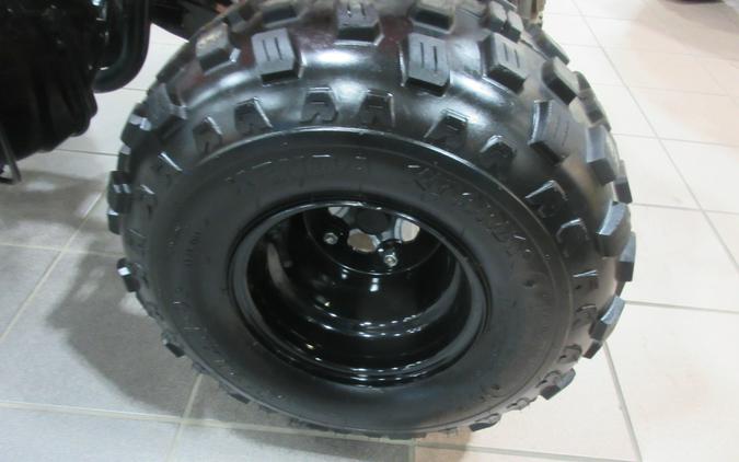 2027 CAN-AM DS 250