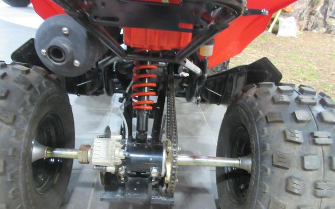 2027 CAN-AM DS 250