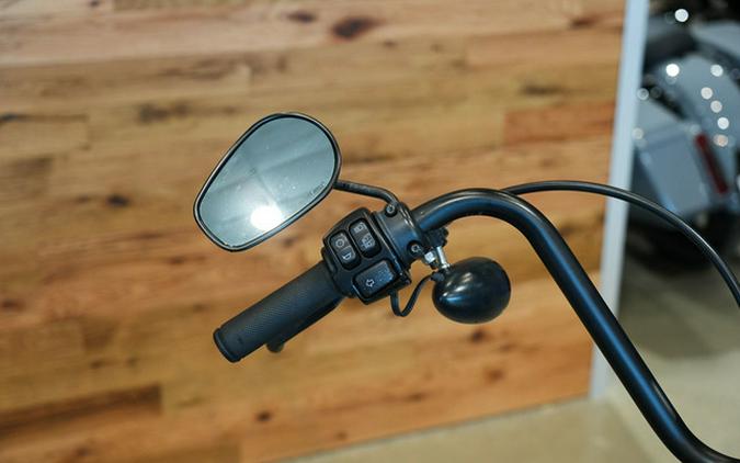 2020 Harley-Davidson XL883N - Sportster Iron 883