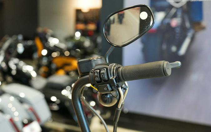 2020 Harley-Davidson XL883N - Sportster Iron 883