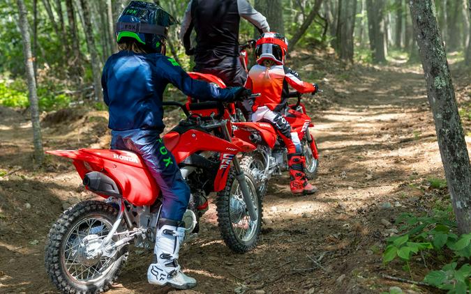 2027 Honda CRF110F