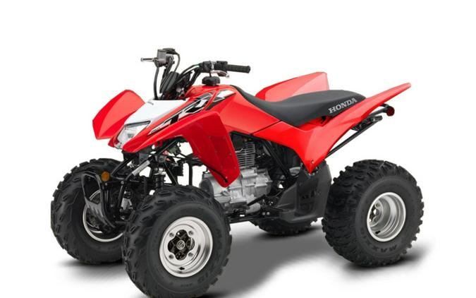 2019 Honda® TRX250X