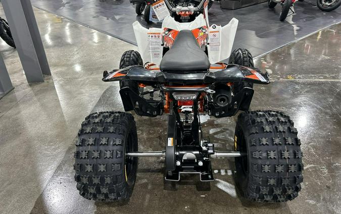 2026 Kayo STORM 300