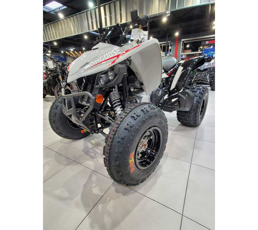 2023 Kymco MONGOOSE 270I