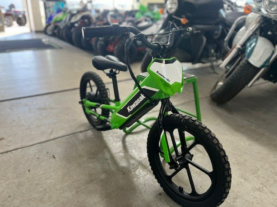 2023 Kawasaki ELEKTRODE