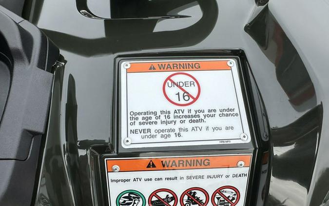 2026 Honda FourTrax Foreman 4x4 EPS TrueTimber Atera Camo 4x4 EPS