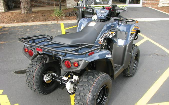 2024 Kawasaki Brute Force® 300