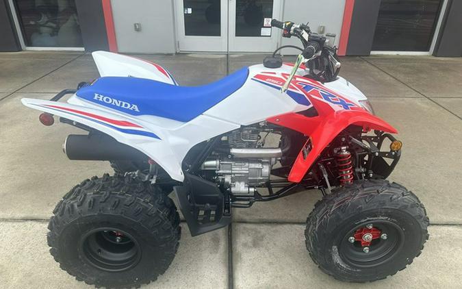 2026 Honda TRX 250X
