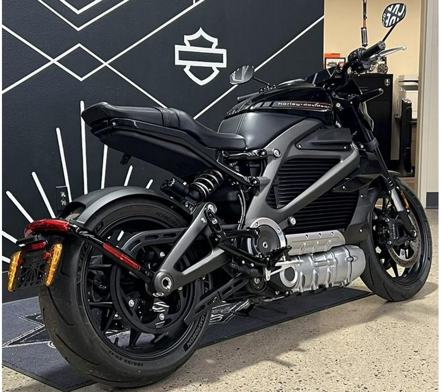 2020 Harley-Davidson® ELW - LiveWire™