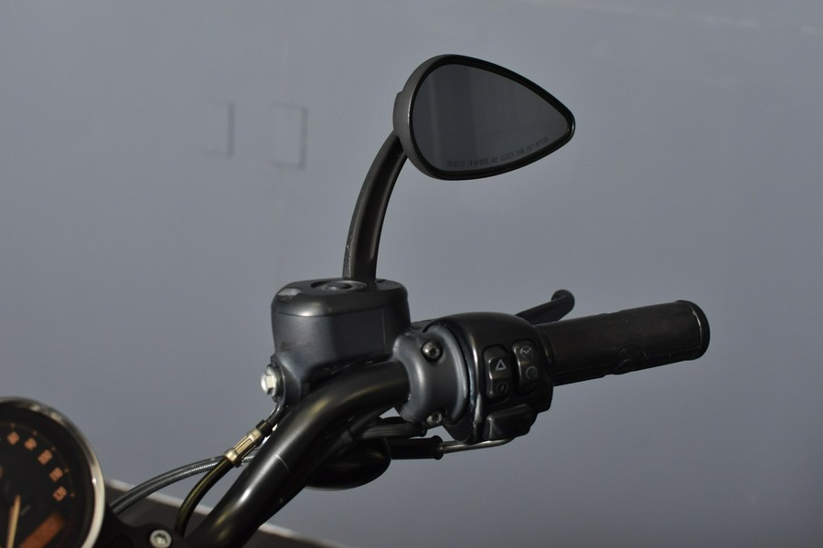 2016 Harley-Davidson Iron 883 XL 883N