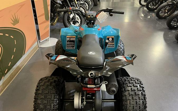 2026 Can-Am® Renegade 110 EFI