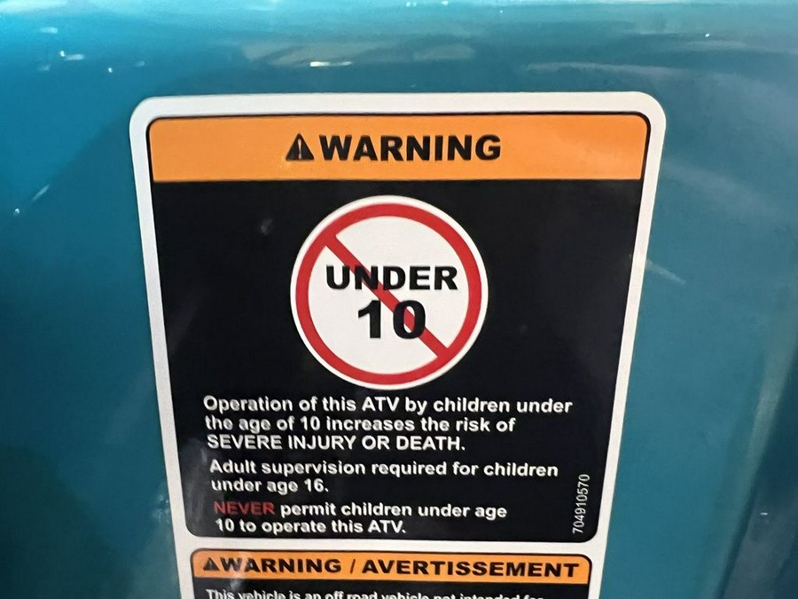 2026 Can-Am® Renegade 110 EFI