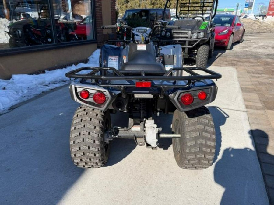 2024 Kawasaki Brute Force® 300