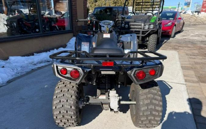 2024 Kawasaki Brute Force® 300