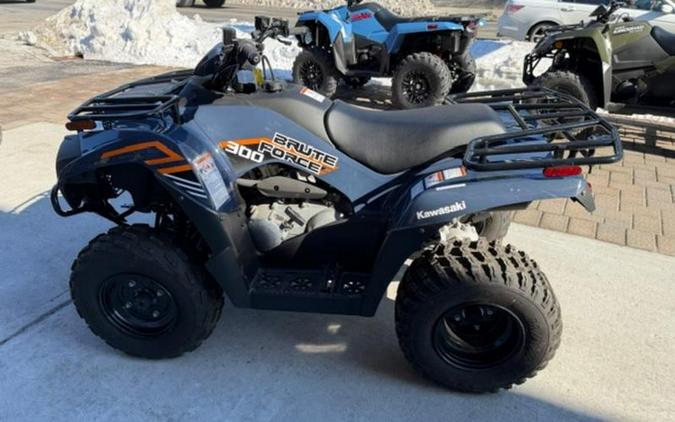 2024 Kawasaki Brute Force® 300