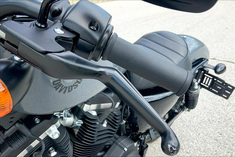 2022 Harley-Davidson® XL883N - Iron 883™