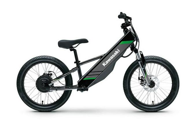 2025 Kawasaki Elektrode 20