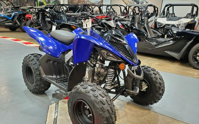 2024 Yamaha RAPTOR 110