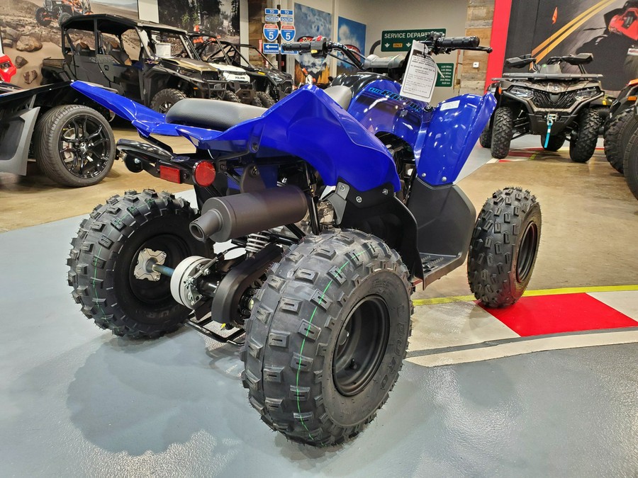 2024 Yamaha RAPTOR 110