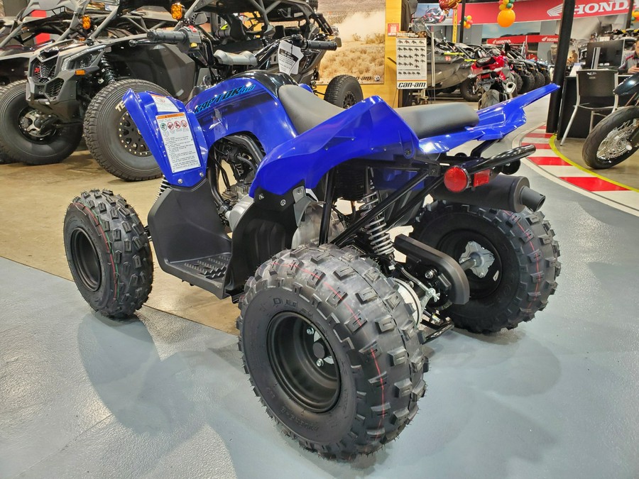 2024 Yamaha RAPTOR 110