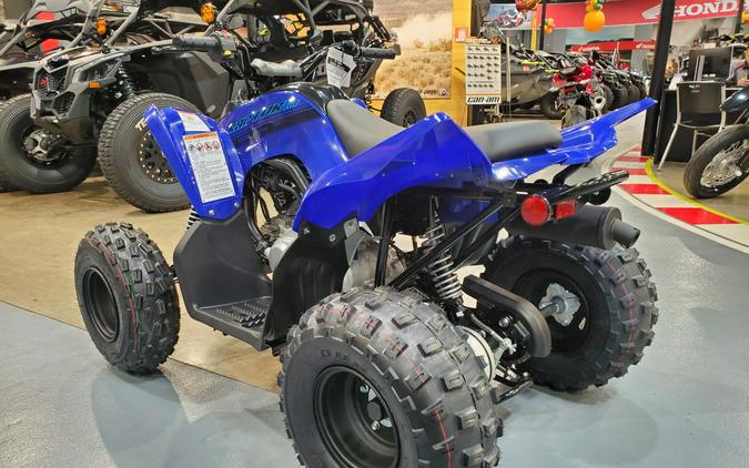 2024 Yamaha RAPTOR 110