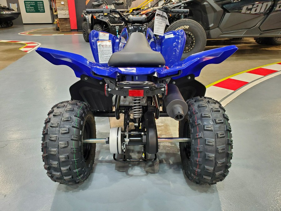 2024 Yamaha RAPTOR 110