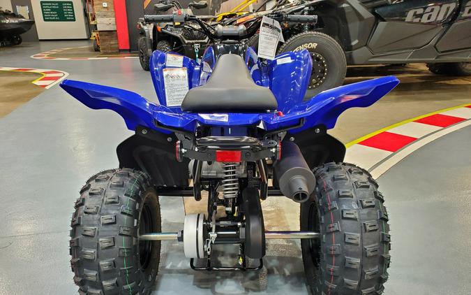 2024 Yamaha RAPTOR 110