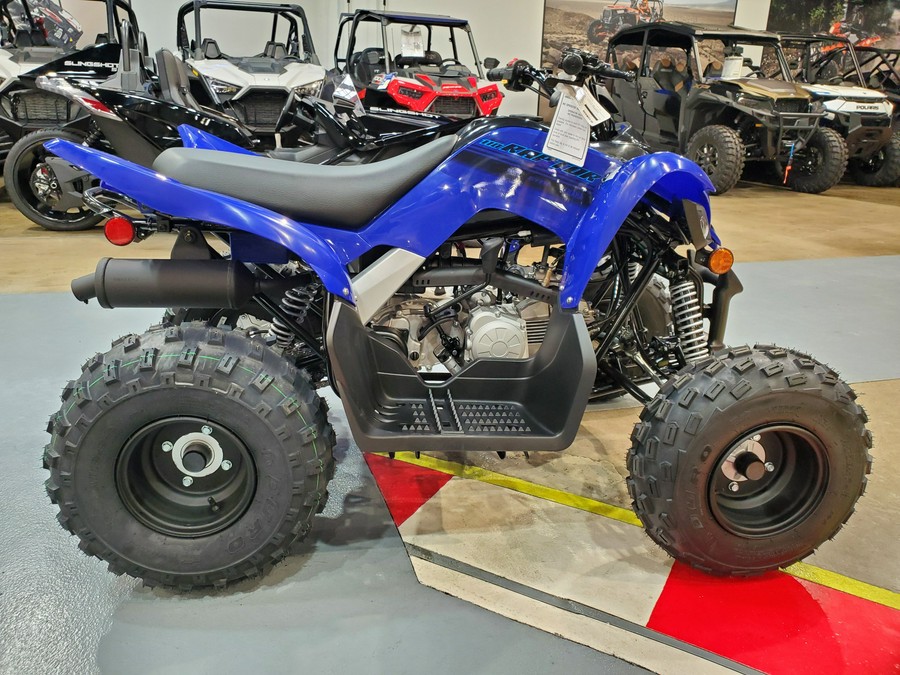 2024 Yamaha RAPTOR 110