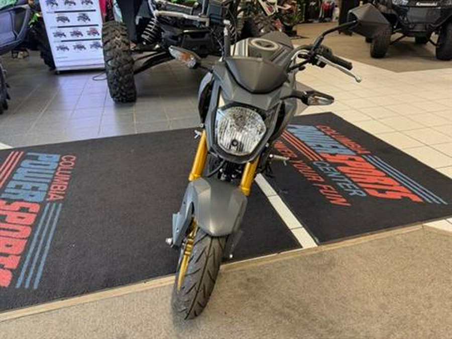 2024 Kawasaki Z125 Pro