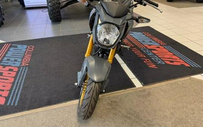 2024 Kawasaki Z125 Pro